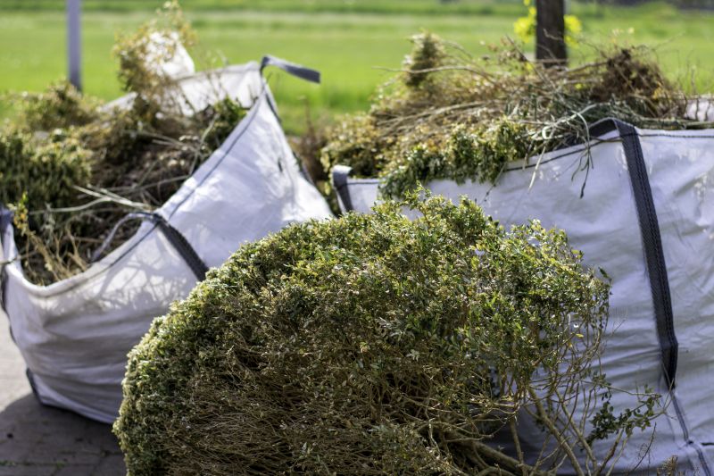 Bush Trimming Service in Ventura County, CA