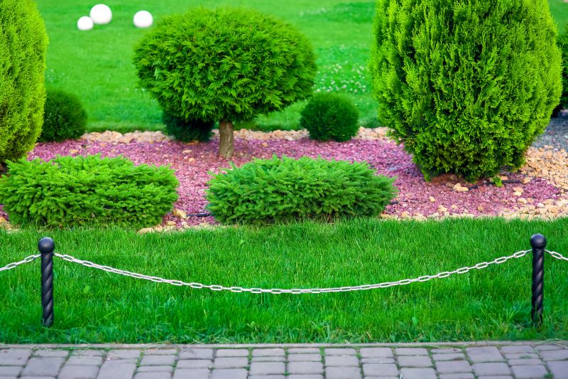 Mulched Crepe Myrtle Bed