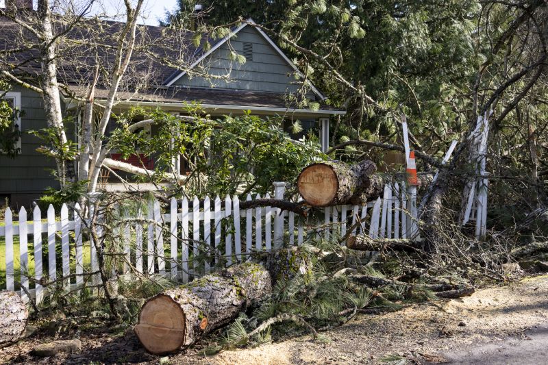 Dogwood Tree Removal in Montgomery County, PA